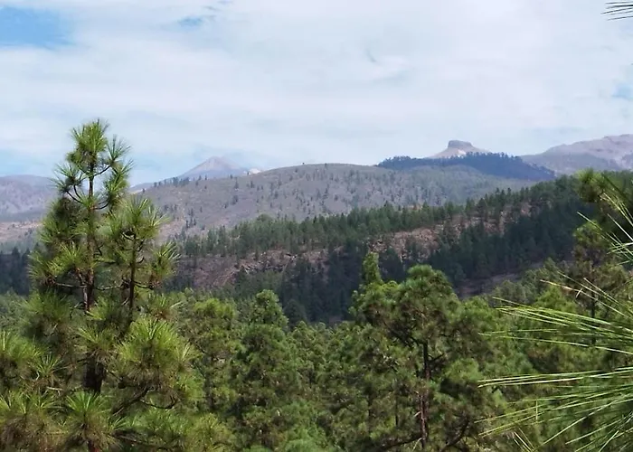 Casas Javier Apartment Costa Adeje (Tenerife)